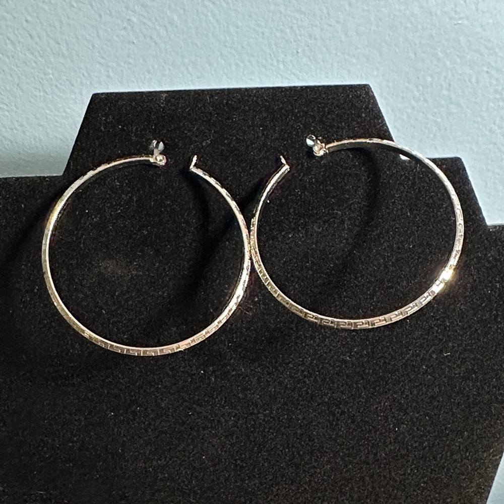 Elegant Stainless Steel Silver Hoop Earrings